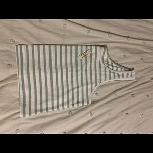 Madewell Boxy-Crop tank top in Sage Mist Crowley Stripe, new with tags, XXL